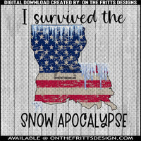 I survived the snow apocalypse