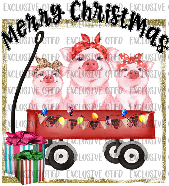 Merry Christmas Pigs