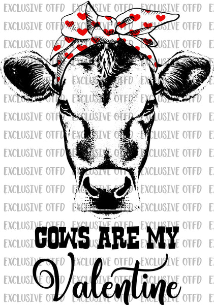 cows are my valentine