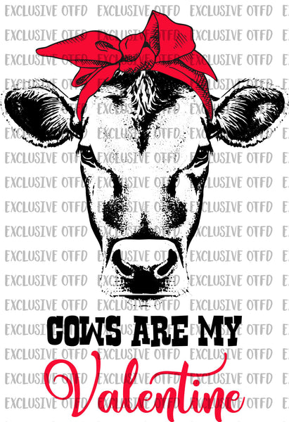 Cows are my valentine