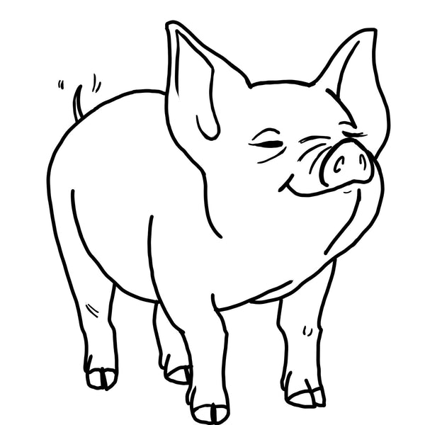 Pig Hand Drawn