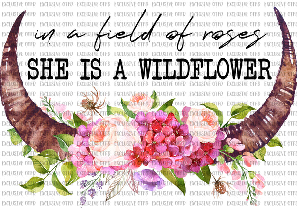 in a field of roses