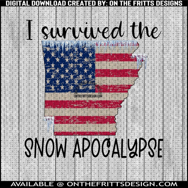 I survived the snow apocalypse