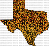 Leopard Texas