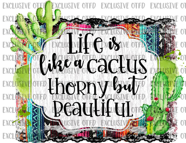 Life is like a cactus
