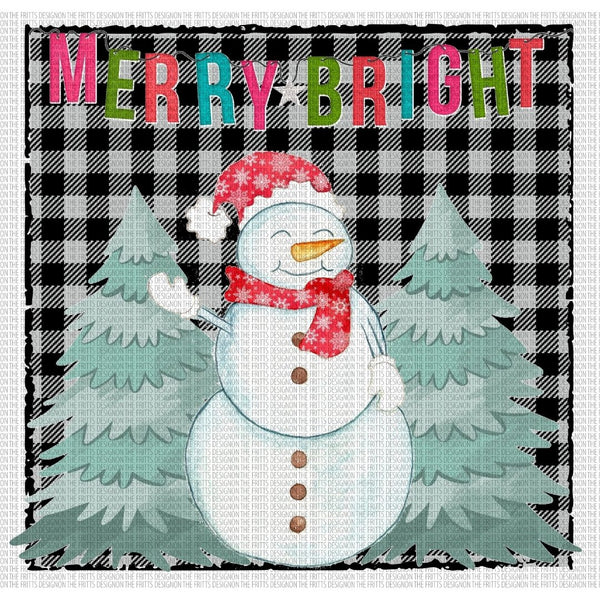 Merry and Bright snowman