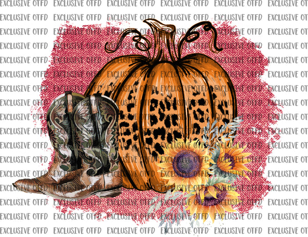 Pumpkin with boots