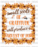 Seeds of gratitude