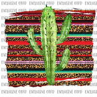Cactus and serape