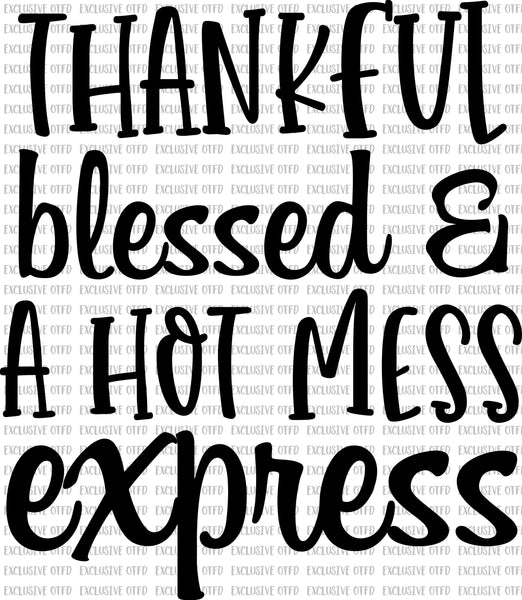 thankful blessed and a hot mess express